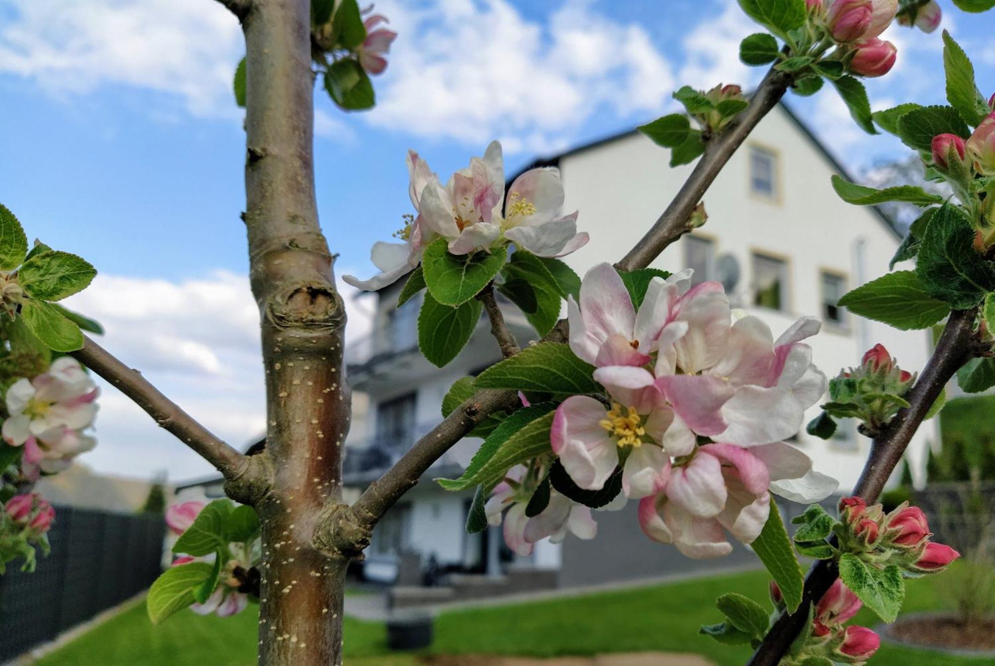 Kleine Auszeit Apartment Cochem Ngoại thất bức ảnh